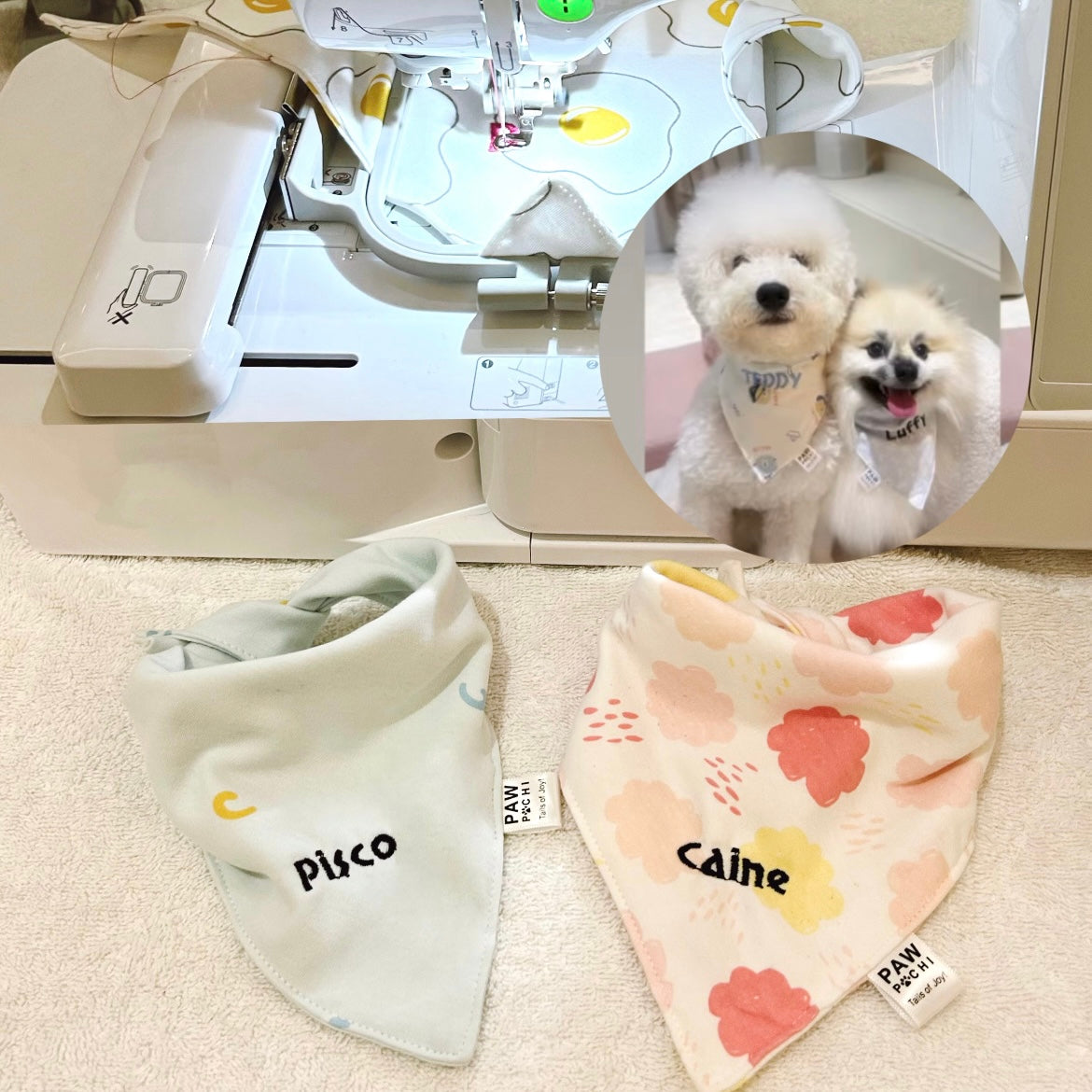 Farm S - Harvesting Vegetables