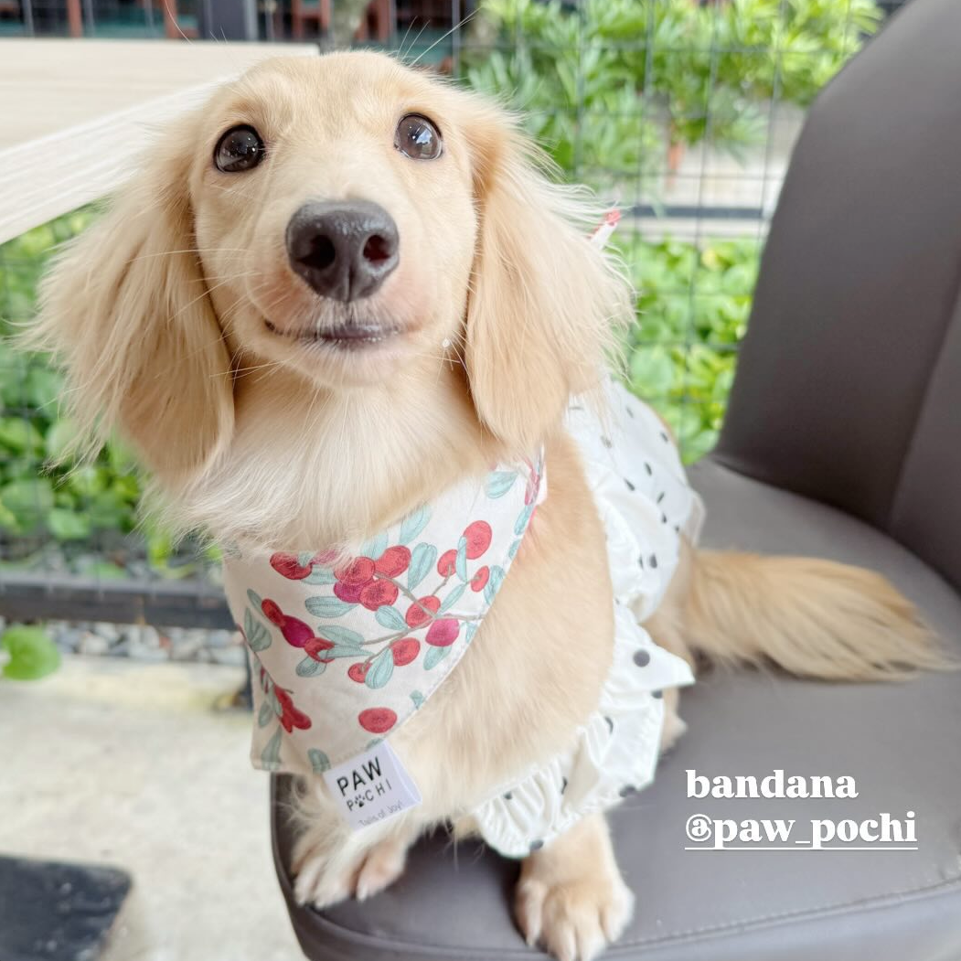 Frosted Berry Branch