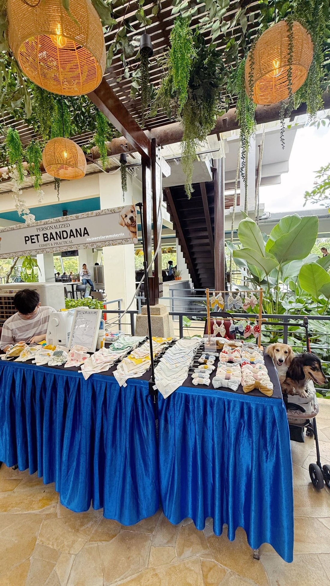 Paw Pochi at Bale Social Pet Event 2025 🐶✨ | New Pet Bandana Collection Launch!