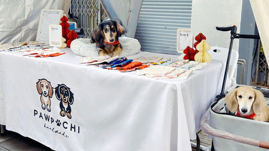 PAW POCHI's Participation in Johor Bahru Cultural Street Flea Market – Chinese New Year 2025