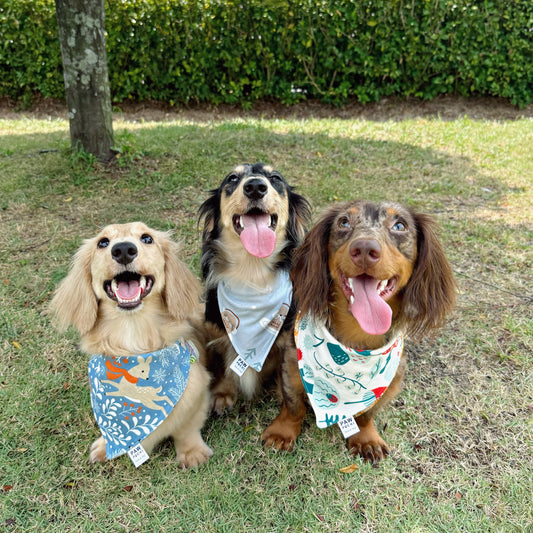 The Joy of Outing Day — When Bandanas Mean “Let’s Go!”