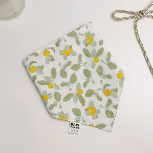 Lemon Garden