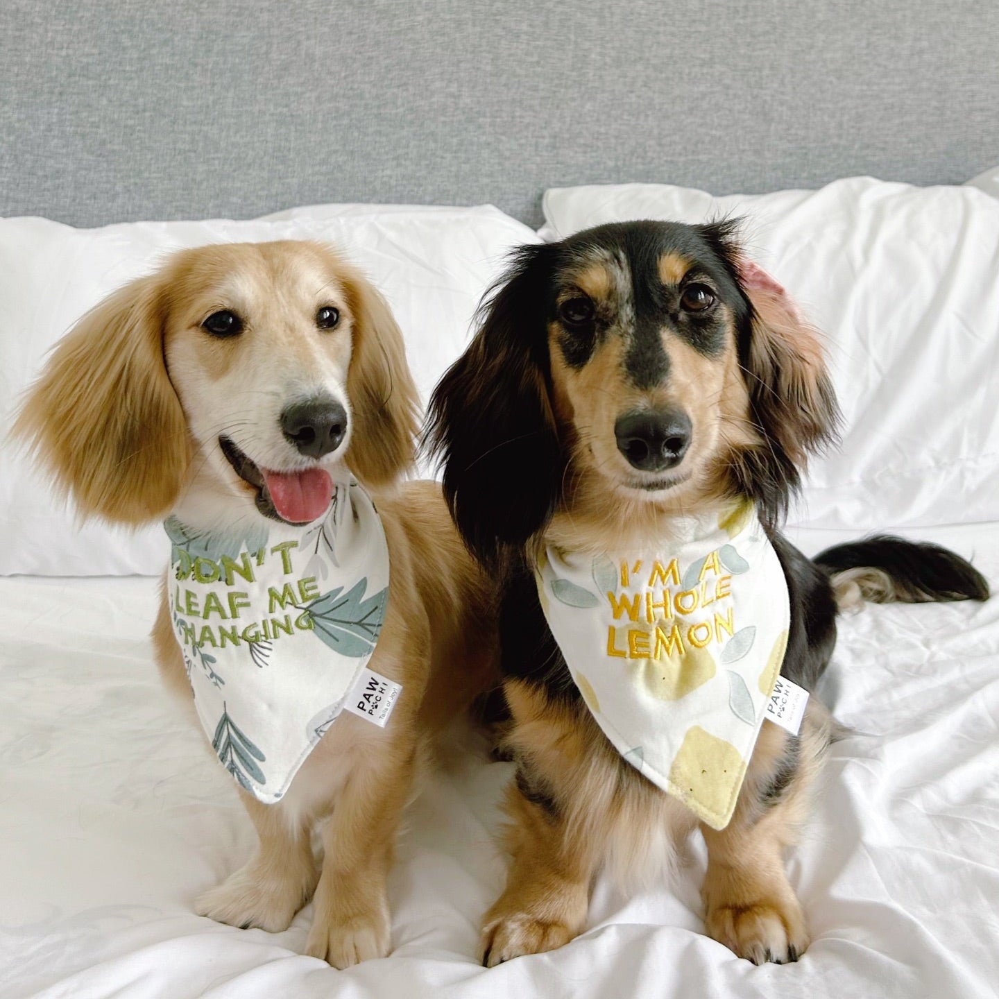 Green S/M/L - The Fern