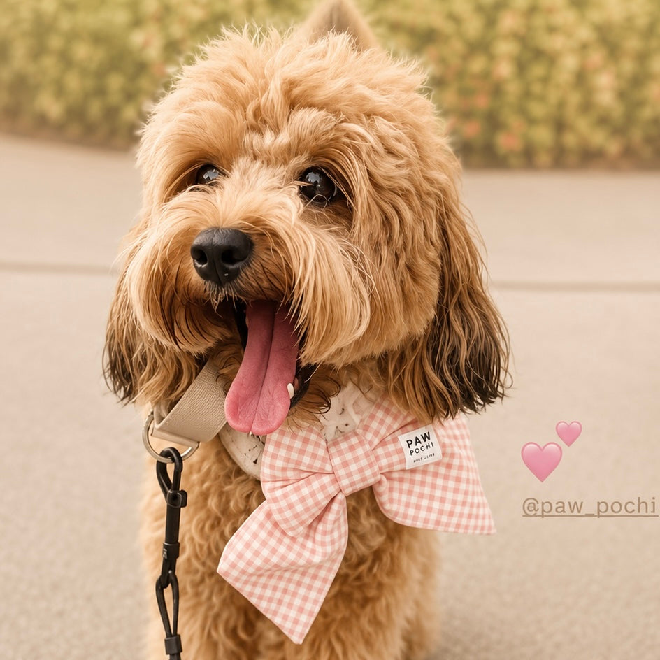 Blush Gingham