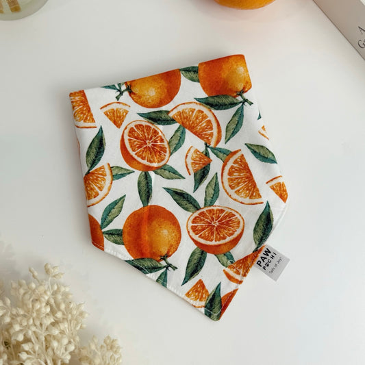 Sunny Orange Grove – Everyday Pet Bandana