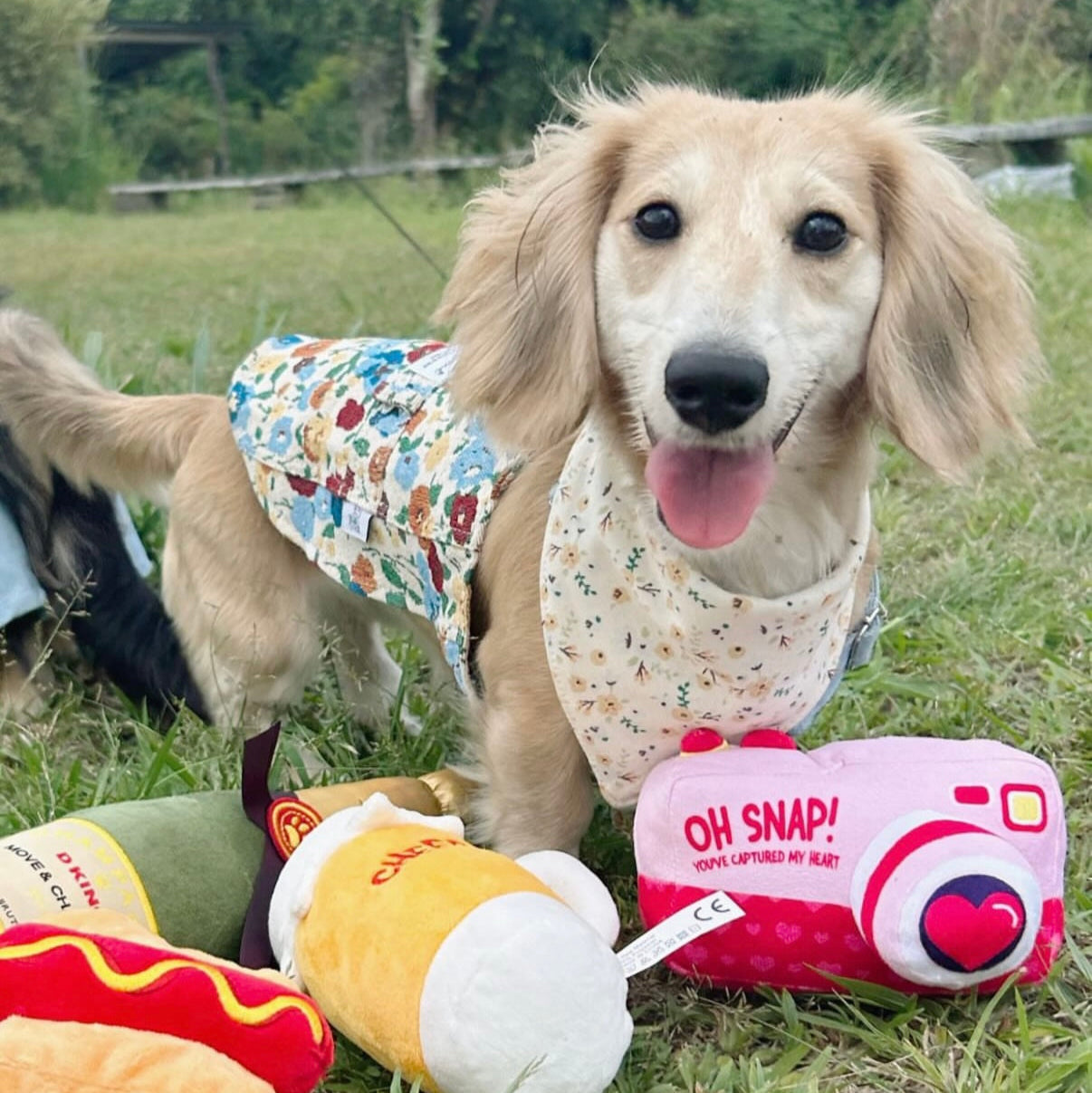 Yellow S/M/L- Flower Pattern