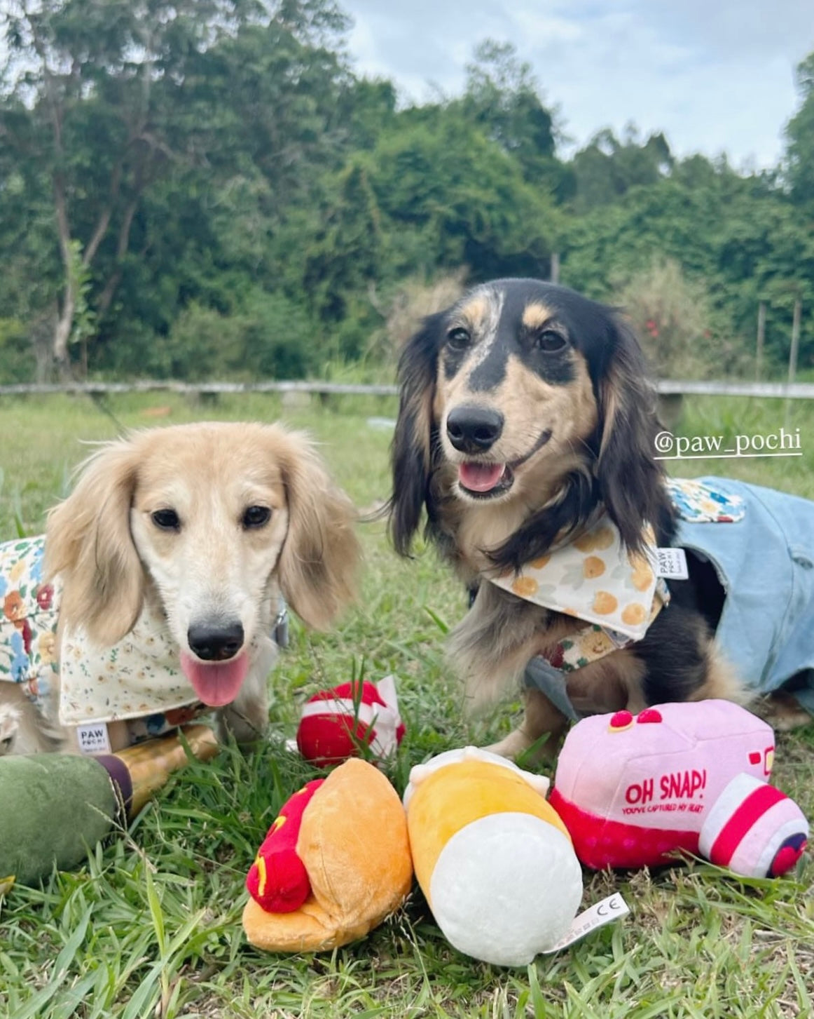 Fruit S/M/L- Rasberry