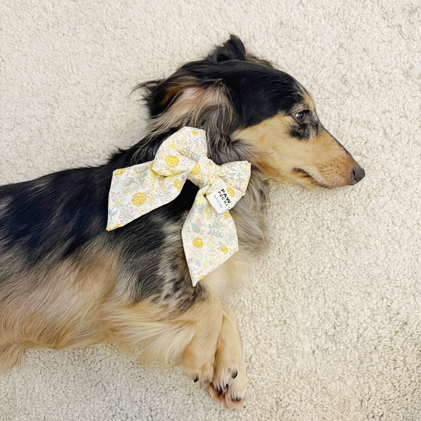 Sunny Daisy – Summer Day Pet Bow