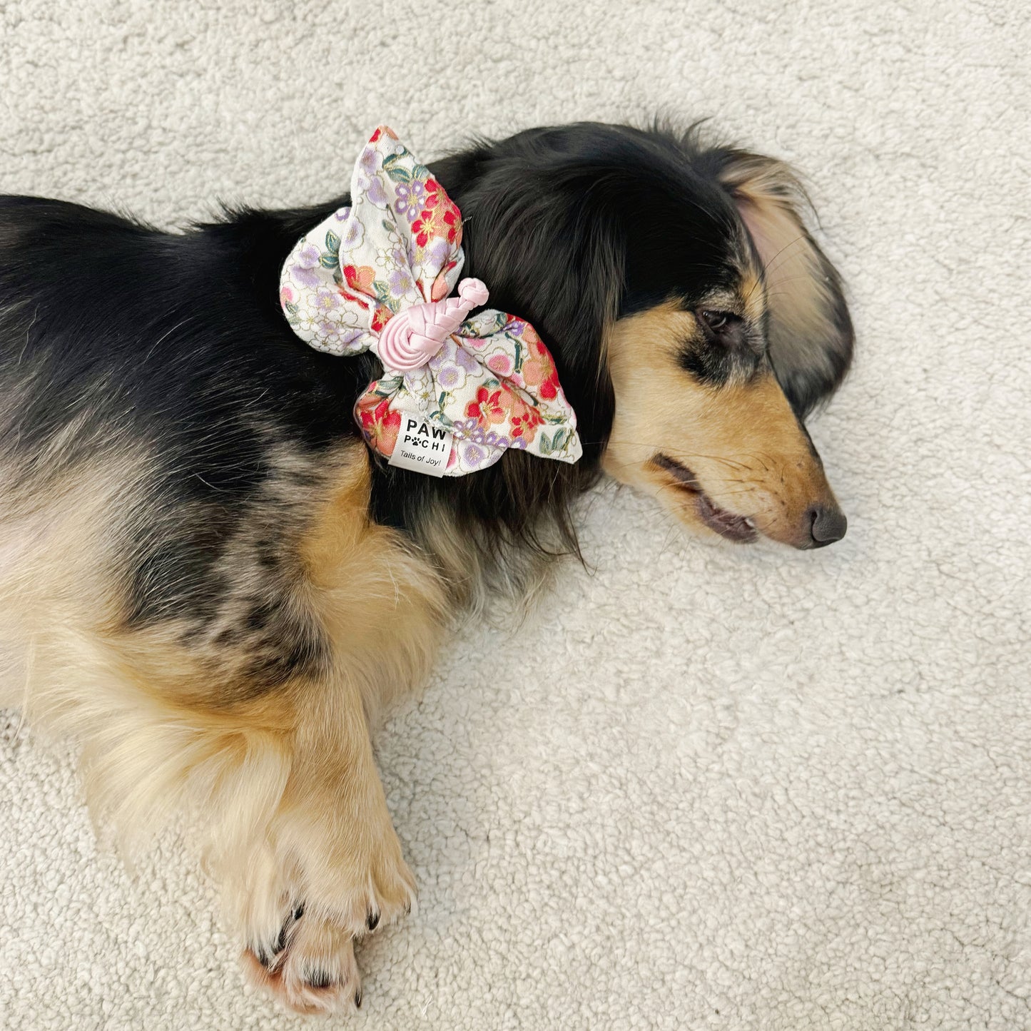Sakura Whisper – Butterfly Kiss Dog/ Cat Bow Tie