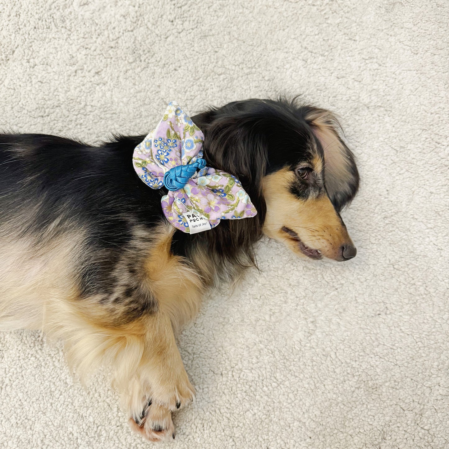 Mizumi Bloom – Butterfly Kiss Dog/ Cat Bow Tie