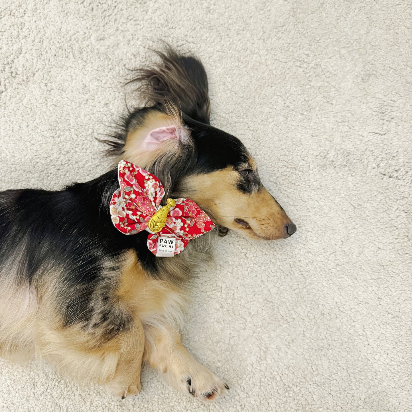 Crimson Hana – Butterfly Kiss Dog/ Cat Bow Tie