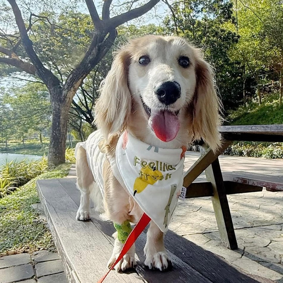 Farm S/M/L - Harvesting Vegetables