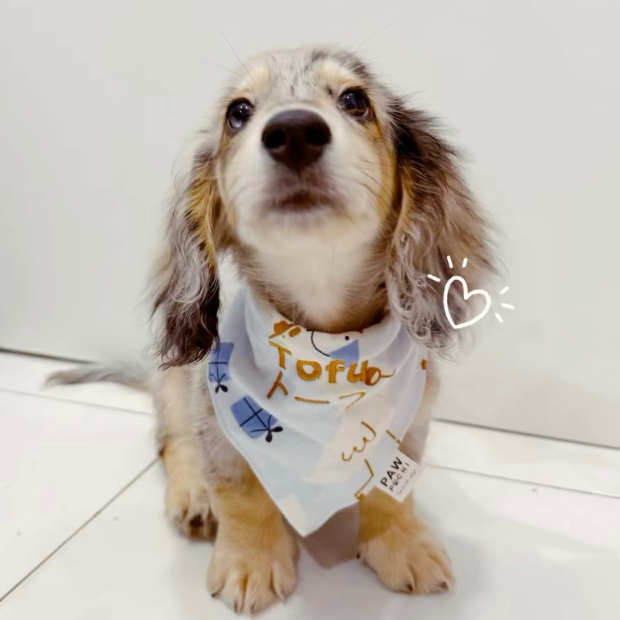 Farm S/M/L - Gooseberry Skies