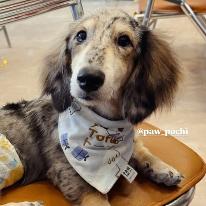 Farm S/M/L - Gooseberry Skies