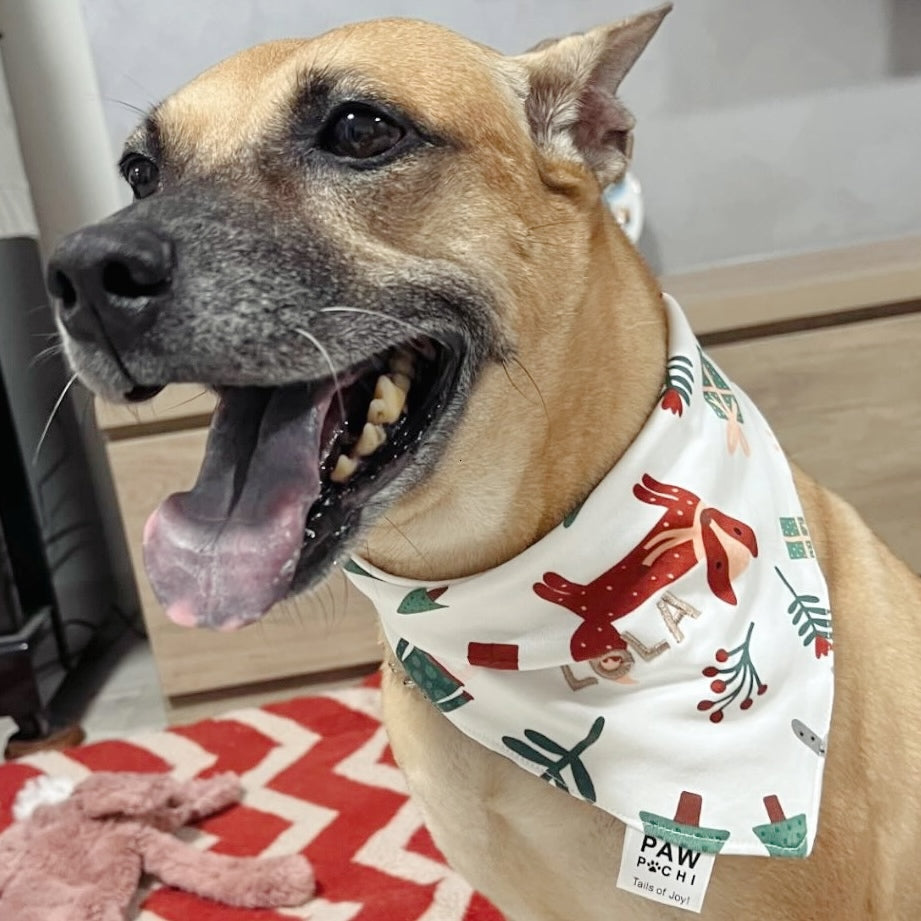 Holiday Bunnies – Festive Forest Pet Bandana