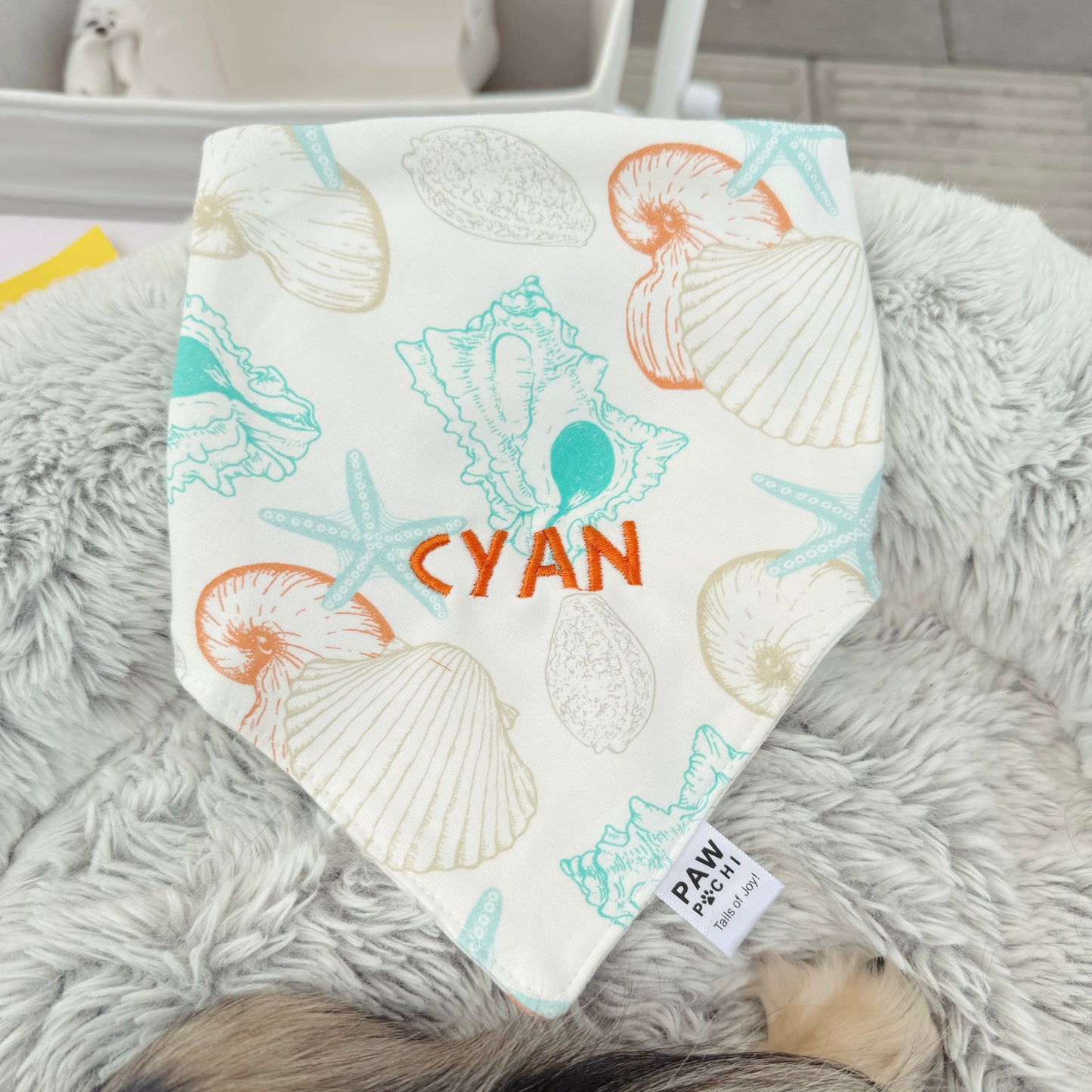 Beach S - Blue Shellfish