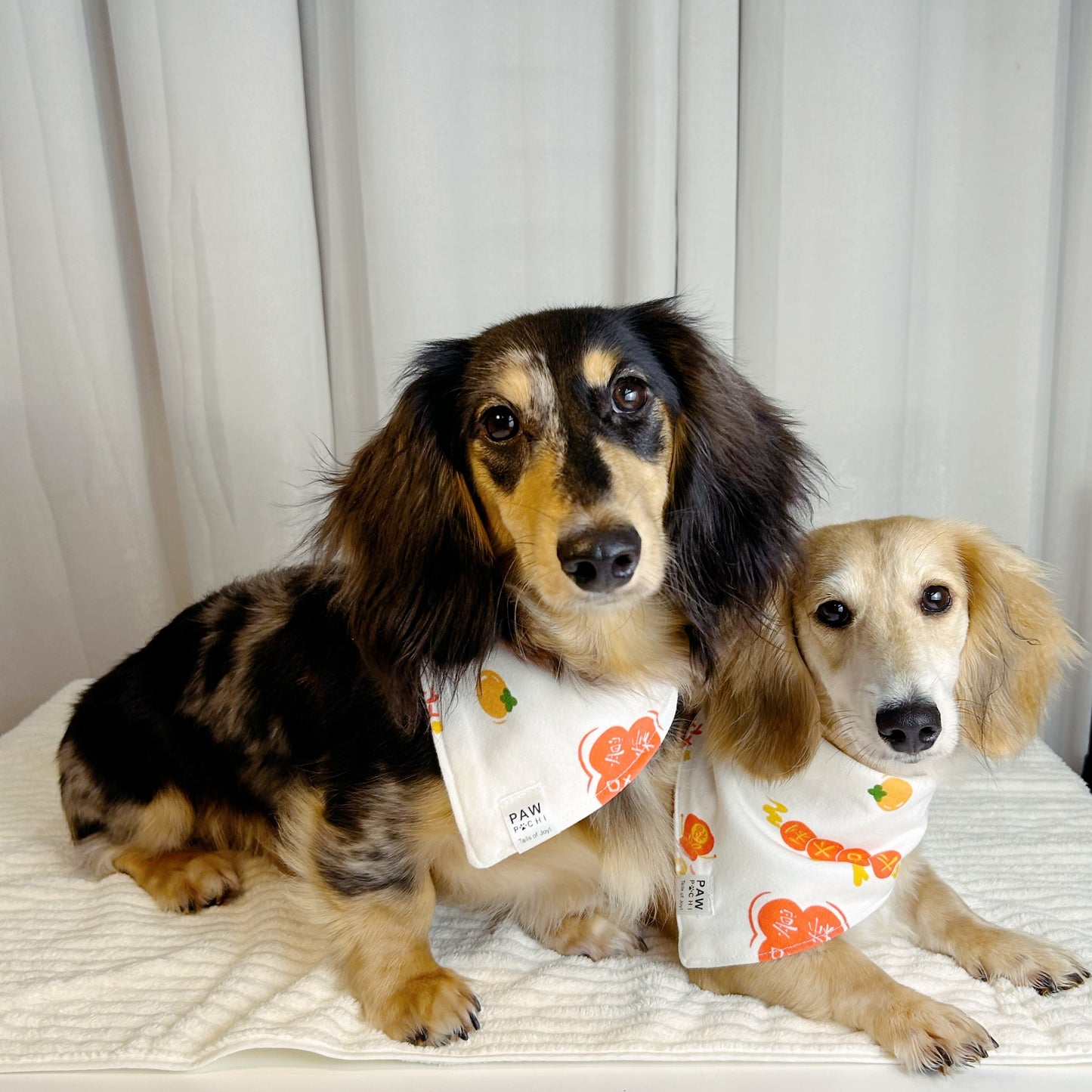 Blessings of Joy: The Soft Baby Fabric 'Fu' & 'Da Ji Da Li' Bandana