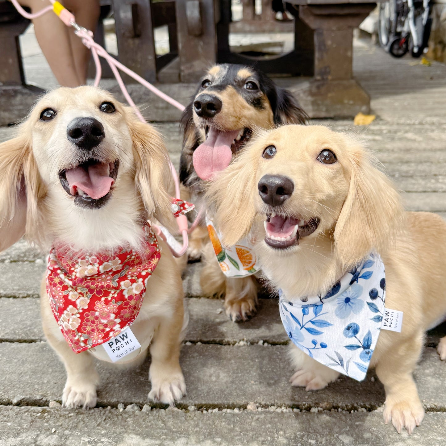 Crimson Sakura Bloom – Japanese Floral Pet Bandana