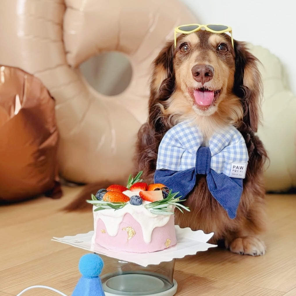 Blue Plaid Perfection – Classic Checked Pet Bow