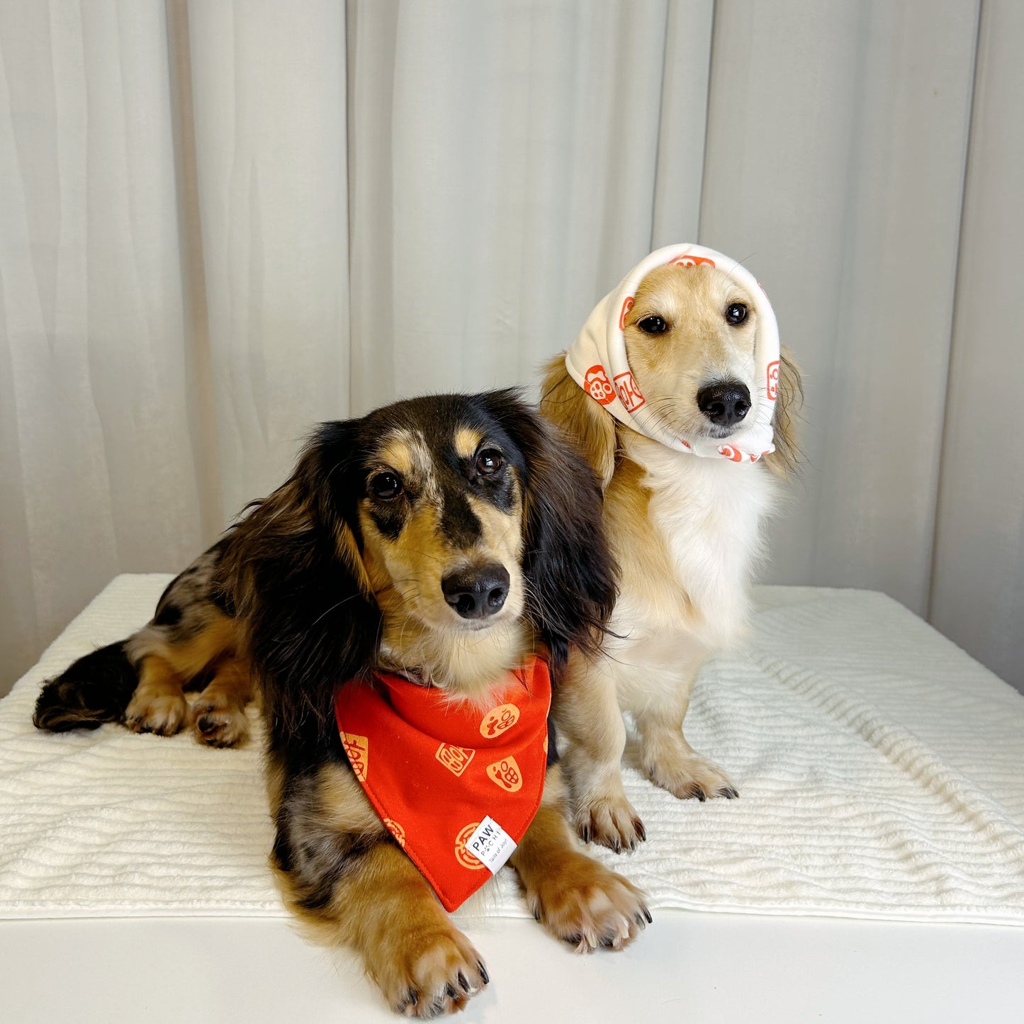 Blessings of Joy: The Soft Baby Fabric 'Fu' & 'Da Ji Da Li' Bandana