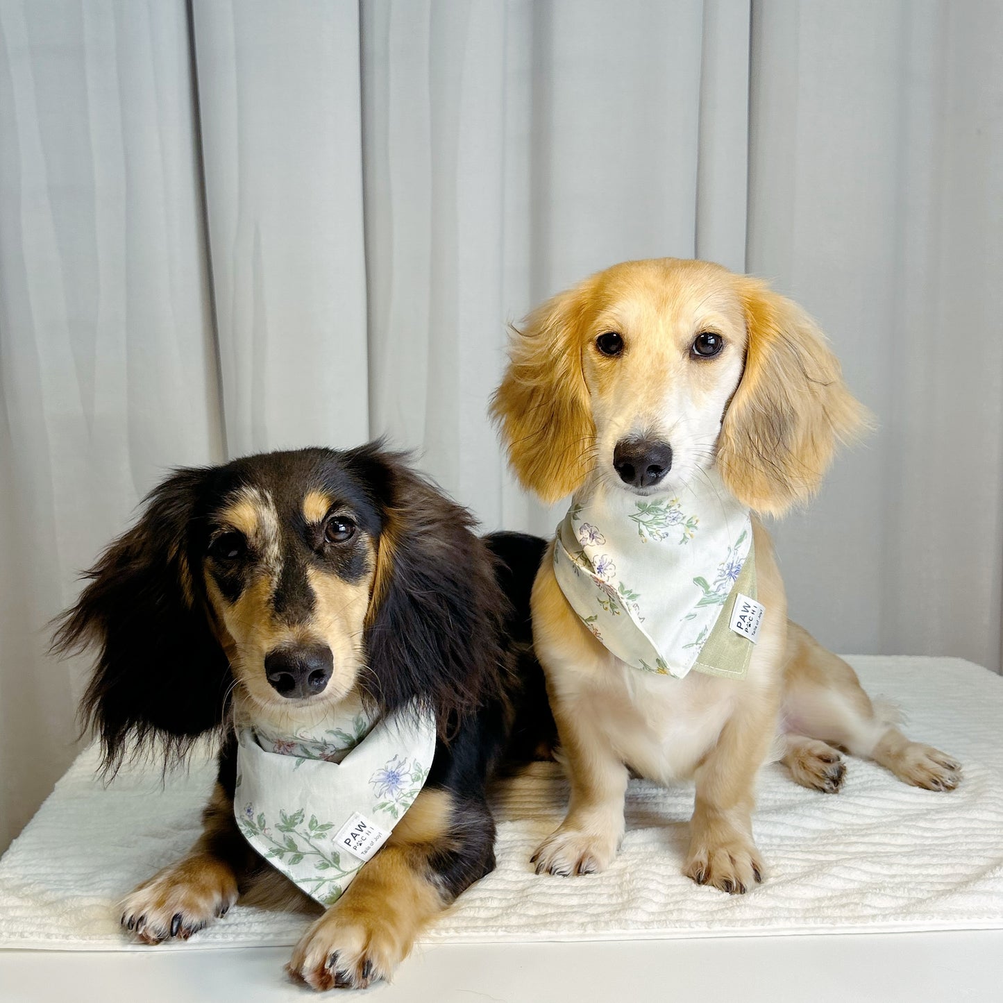 Floral Garden Dreams: Monet-Inspired Bandana with Green Backdrop