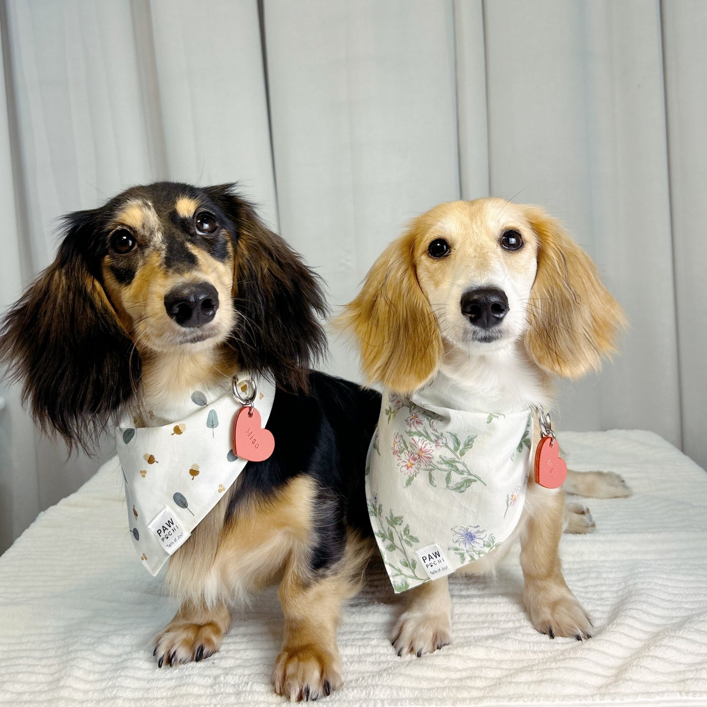 Nutty Grove: The Pale Yellow Bandana with Tree & Nut Print