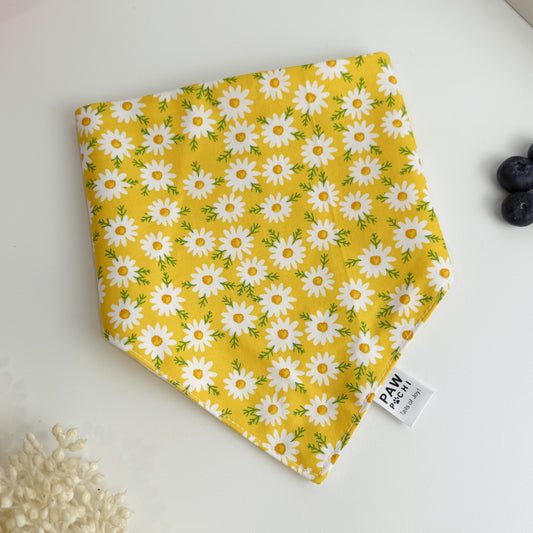 Sunny Daisy Meadow – Everyday Pet Bandana