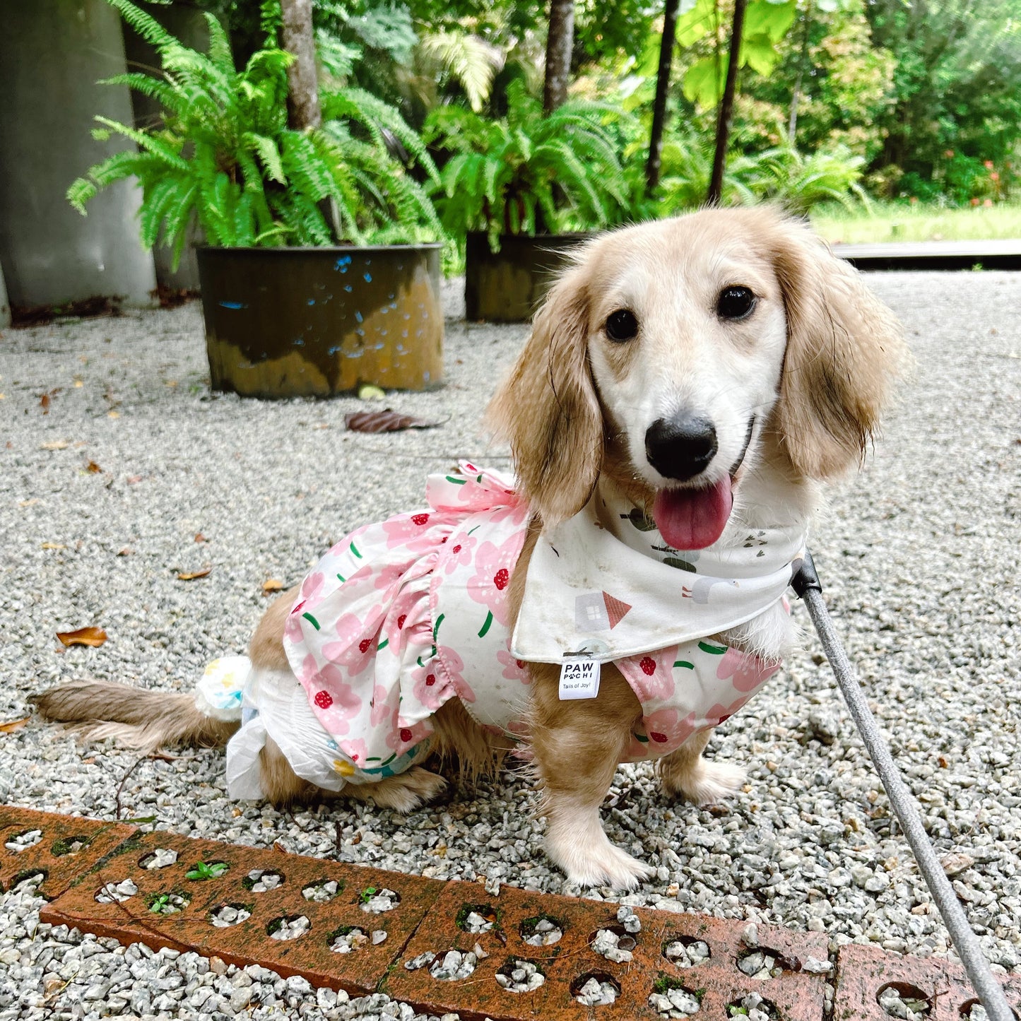 Farm S/M/L - Countryside