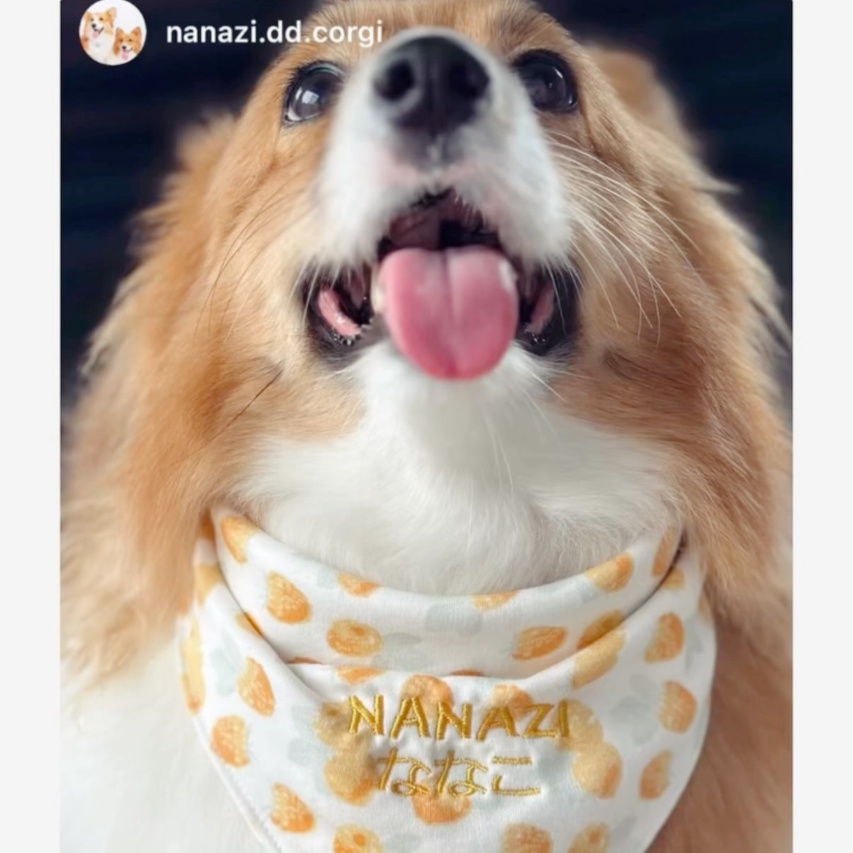 Fruit S/M/L- Rasberry