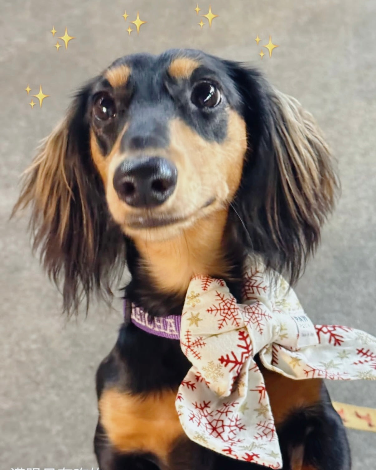 Winter Opaline – Soft as First Snow