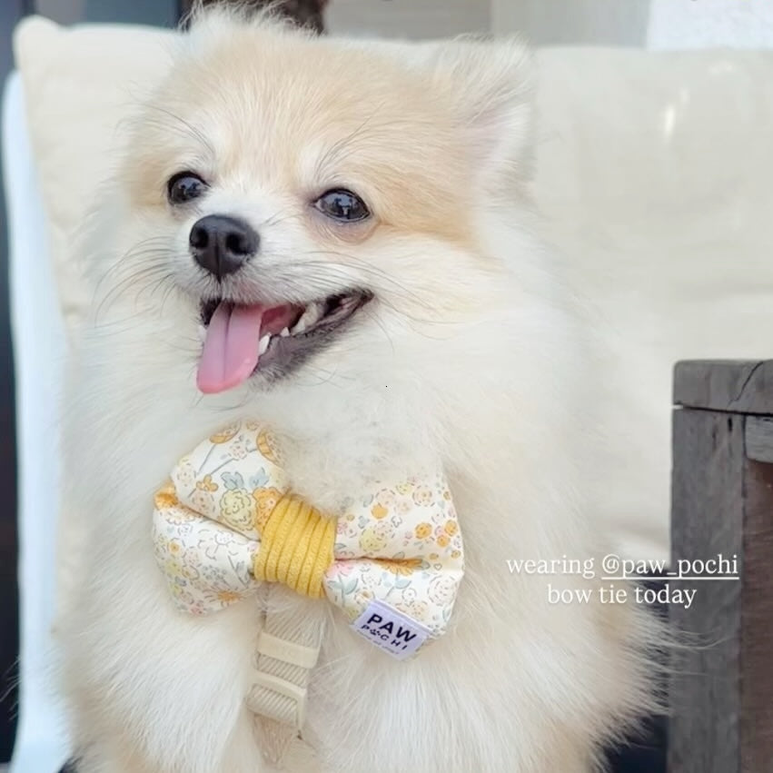 Sunny Bloom Bow – Vibrant Yellow Flower Print for Your Pet