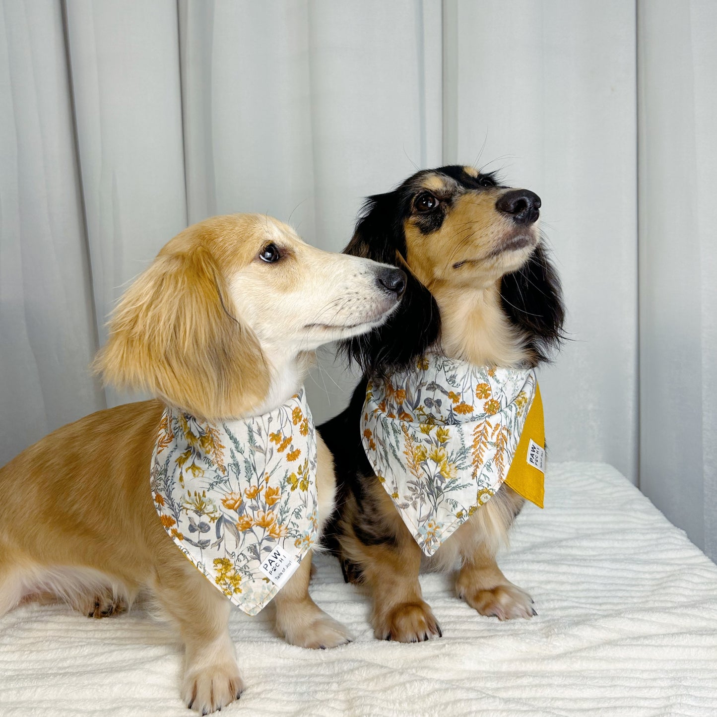 Blooming Sunshine: The Ginger Yellow Floral Bandana