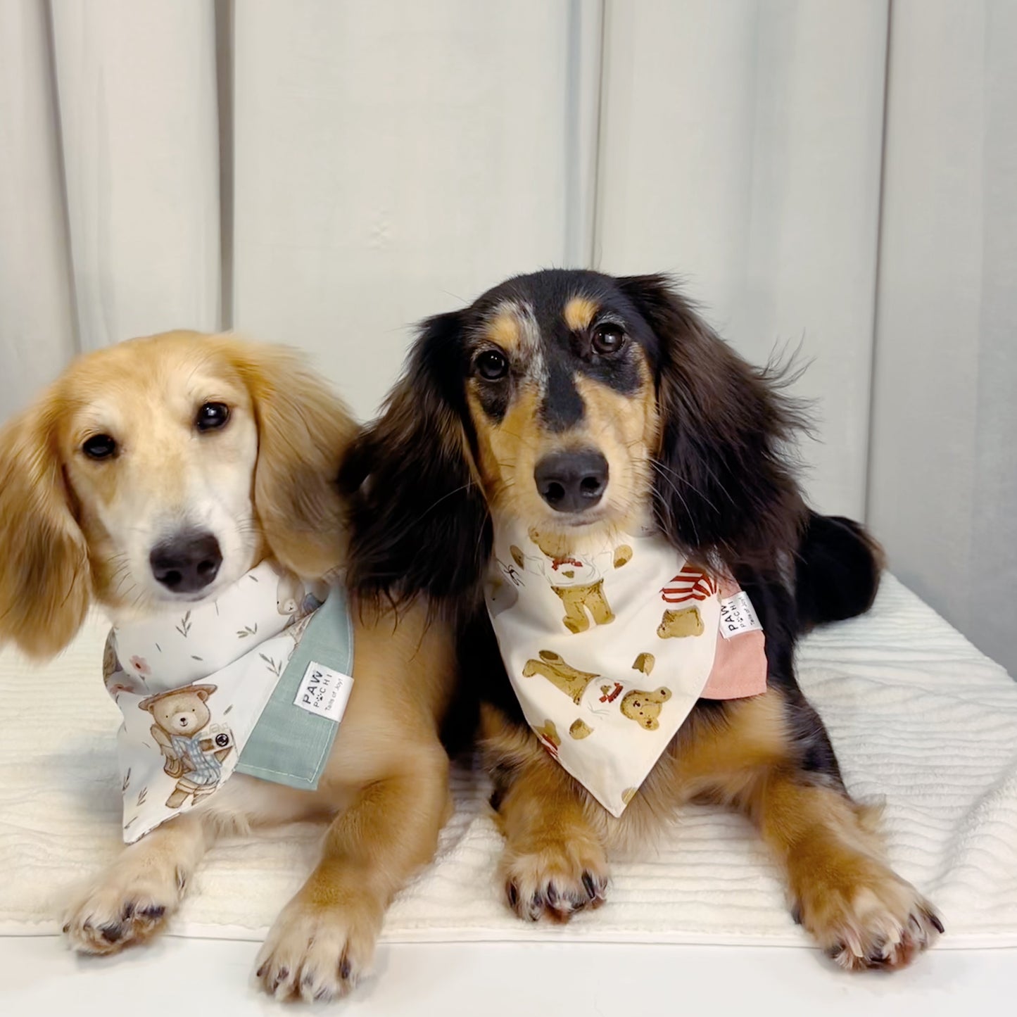 Bear Hugs: The Pink or Brick Red Bandana with Bear Print