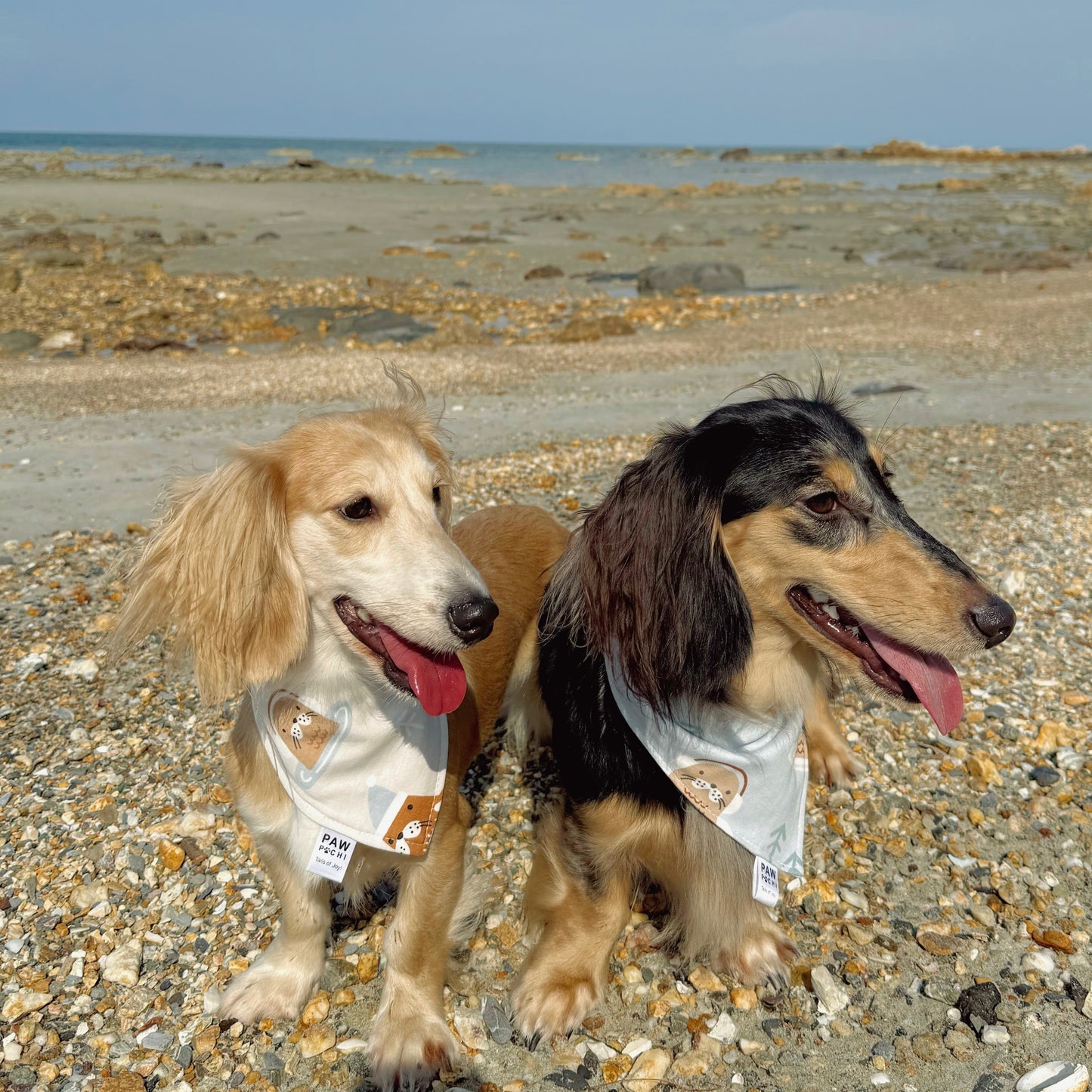 Beige S/M/L - Sea Lion