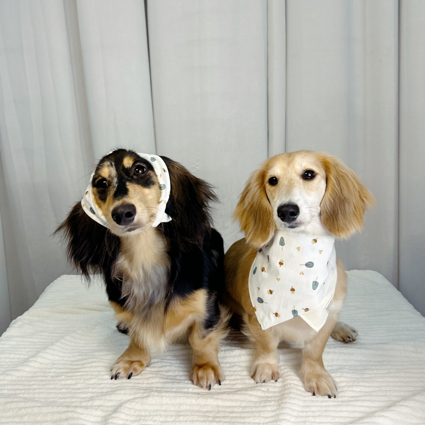 Nutty Grove: The Pale Yellow Bandana with Tree & Nut Print