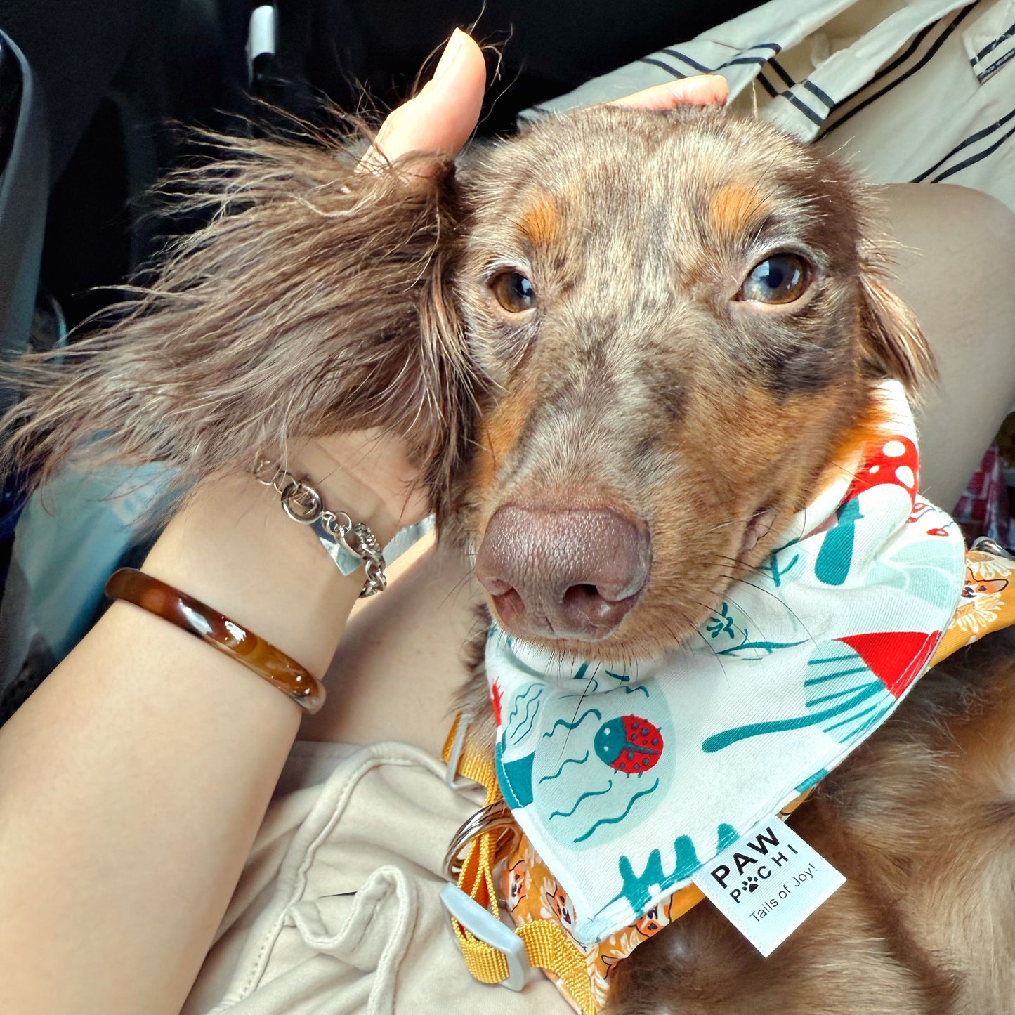 Mushroom Meadow – Whimsical Forest Pet Bandana