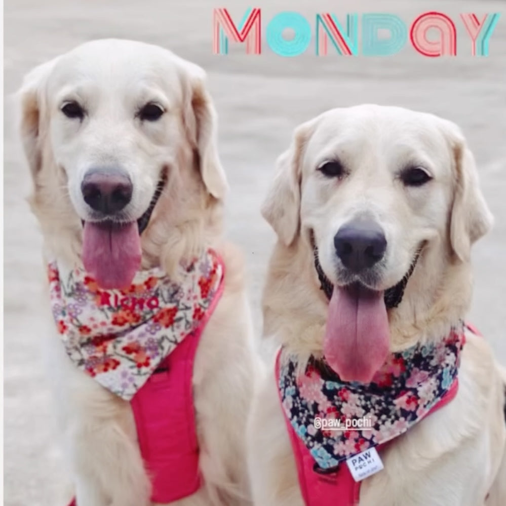 Crimson Sakura Bloom – Japanese Floral Pet Bandana