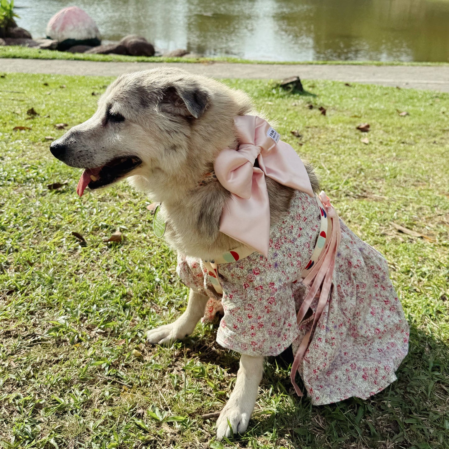 Satin Blue Elegance – Luxe Pet Bow for Refined Style