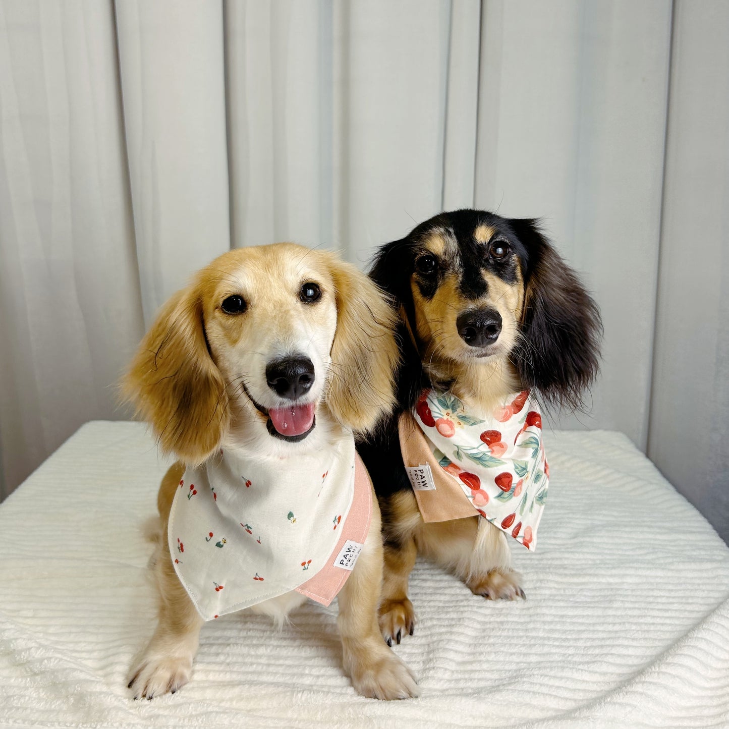 Blossom Breeze: The Pink Bandana with Cherry Blossom Print