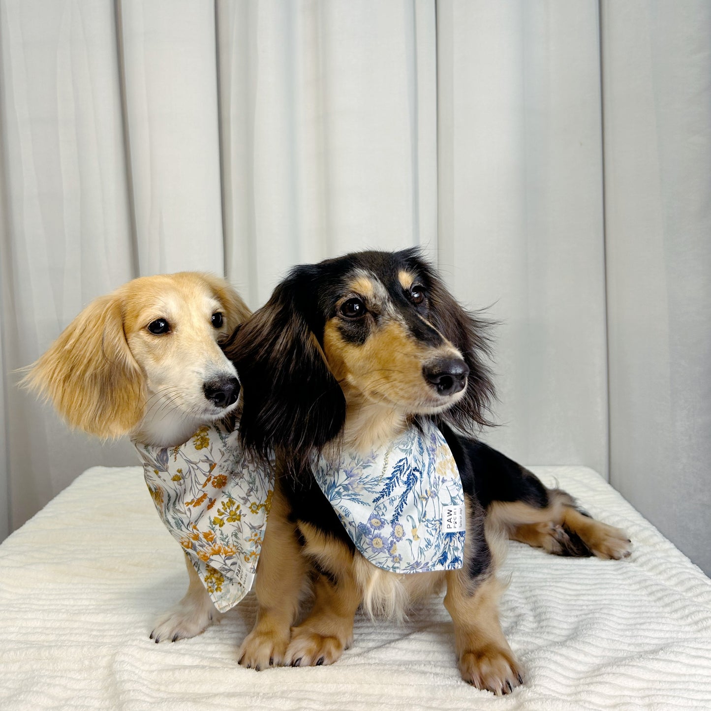 Blooming Sunshine: The Ginger Yellow Floral Bandana