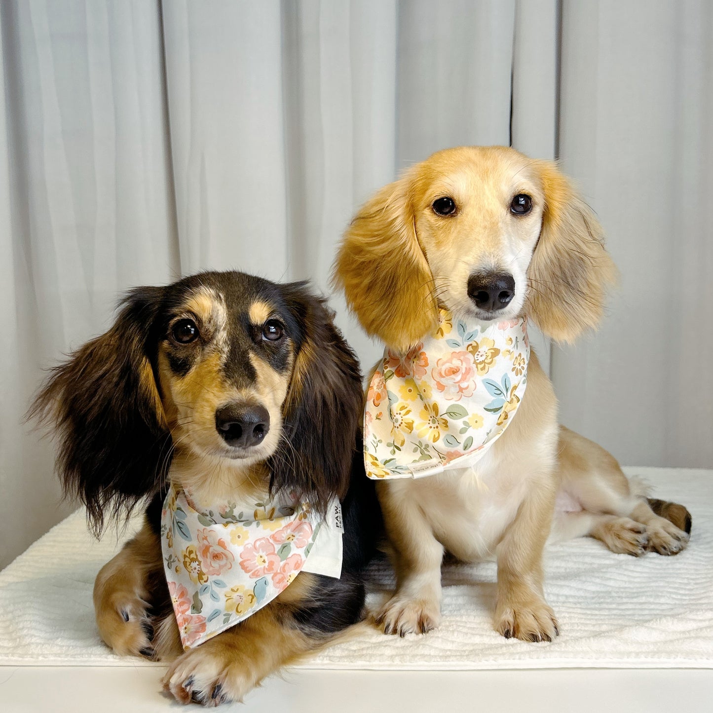 Soft Petals: The Pale Yellow Bandana with Pastel Flower Print
