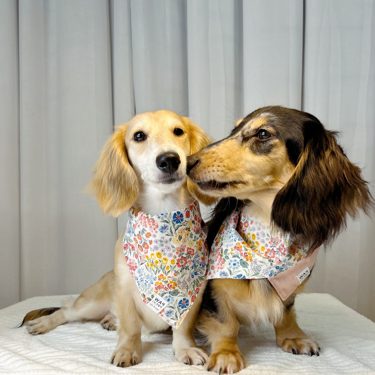 Vivid Blooms: The Light Pink Bandana with Japanese KOKKA Floral Print