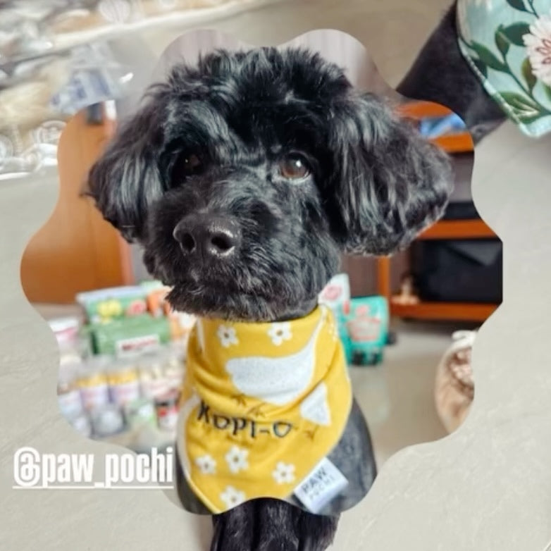 Yellow S/M/L - The 'Quack' Series