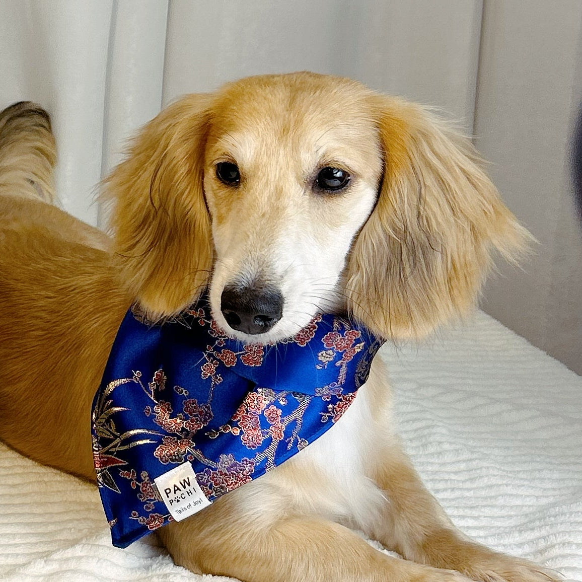 Midnight Brocade Dragon – Jacquard Pet Bandana