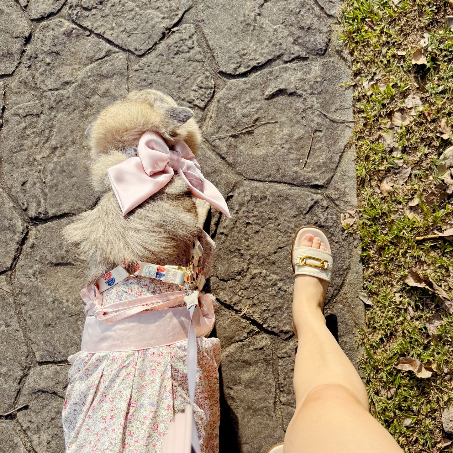 Satin Blue Elegance – Luxe Pet Bow for Refined Style