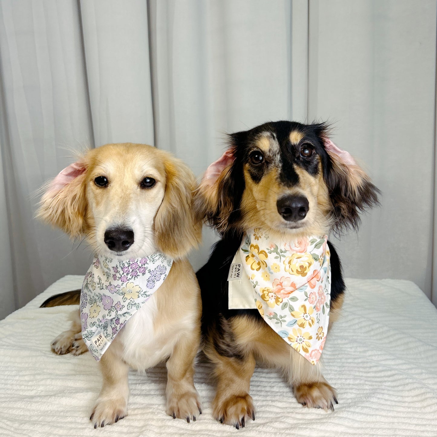 Floral Serenade: The Light Purple Bandana with Yellow & Purple Flowers