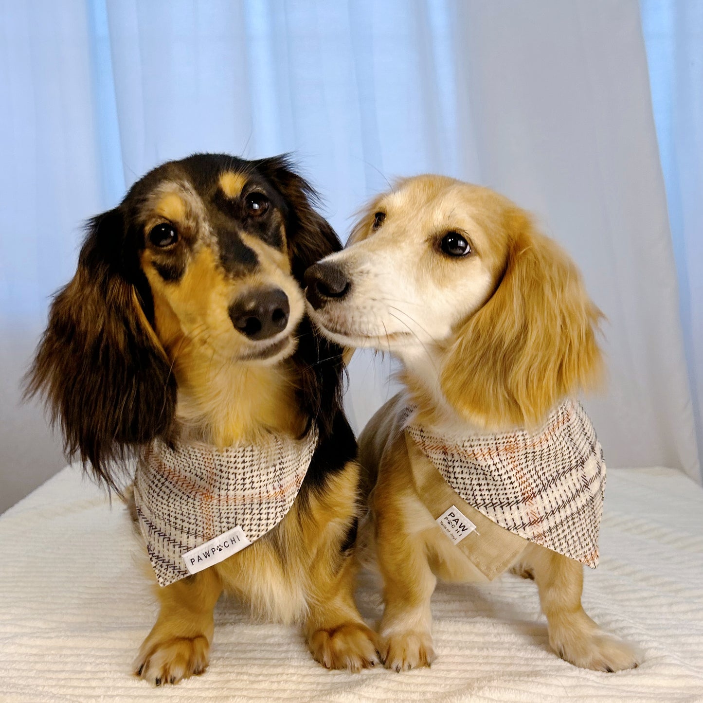 Timeless Plaid Charm: Khaki Checkered Bandana for a Classic Look