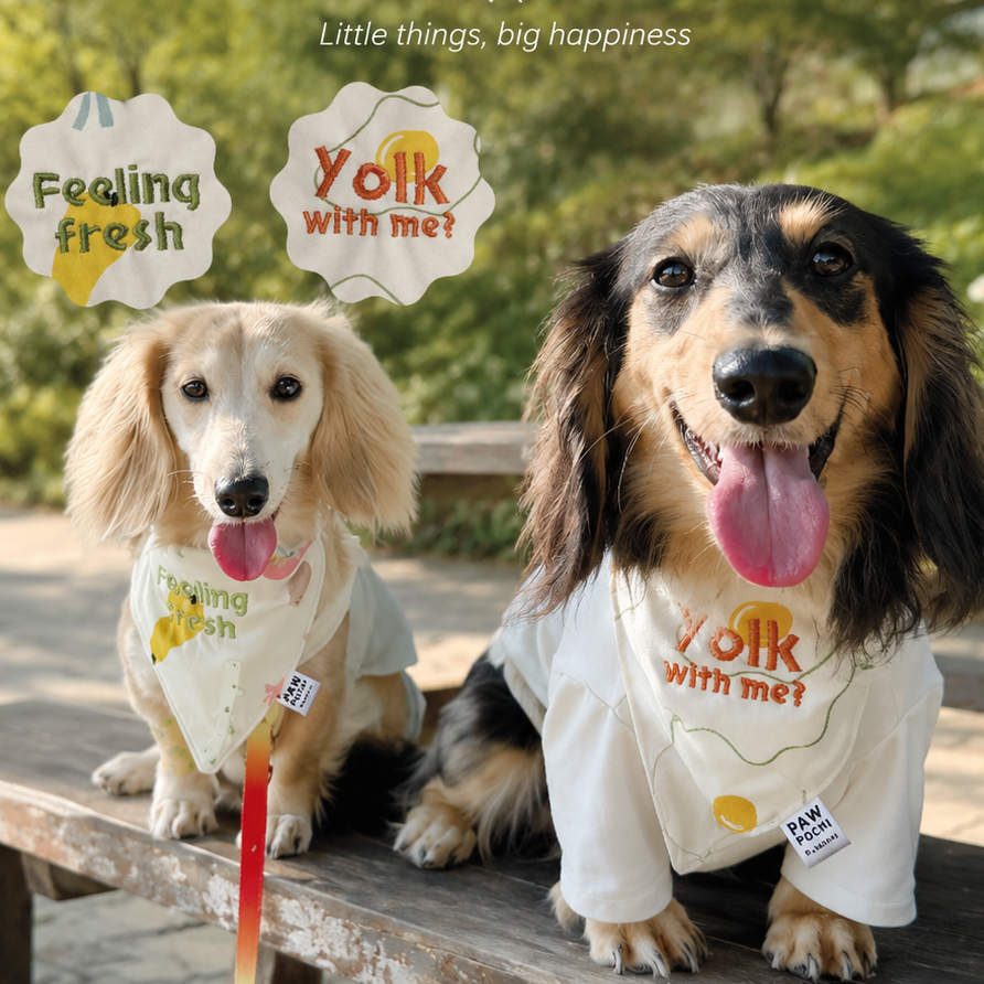 Two dachshunds sitting on a wooden bench outdoors, wearing white graphic bandanas and shirts with the text 'Feeling fresh' and 'yolk with me?'. The background shows a blurred park setting with trees and a bench.