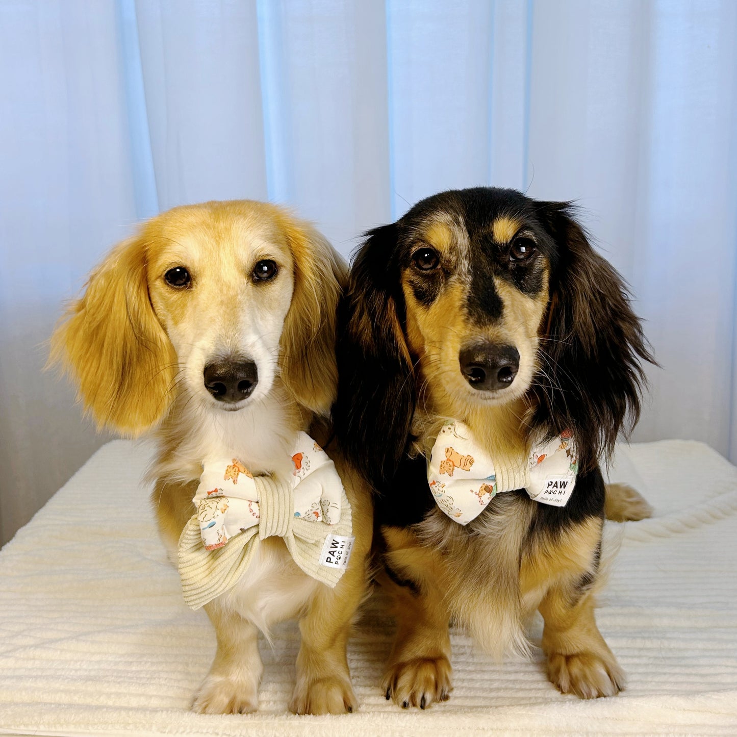 Pawfectly Chic – Dog Print Bow