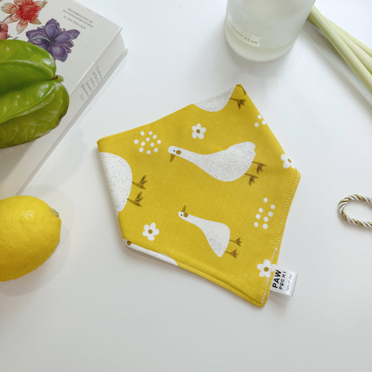 Yellow S/M/L - The 'Quack' Series